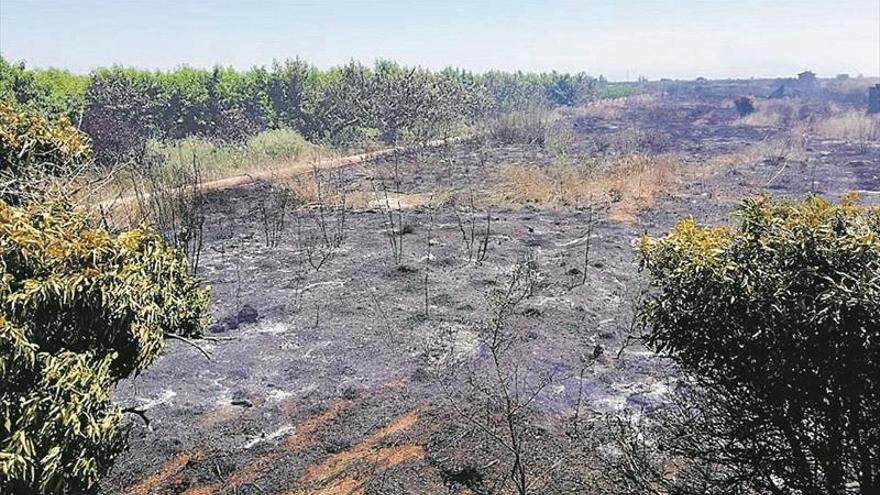 Un fuego calcina campos de naranjos en Moncofa