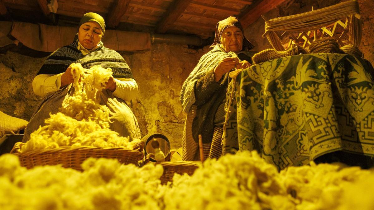 Totes les fotos de la Nit Viva de Fonollosa