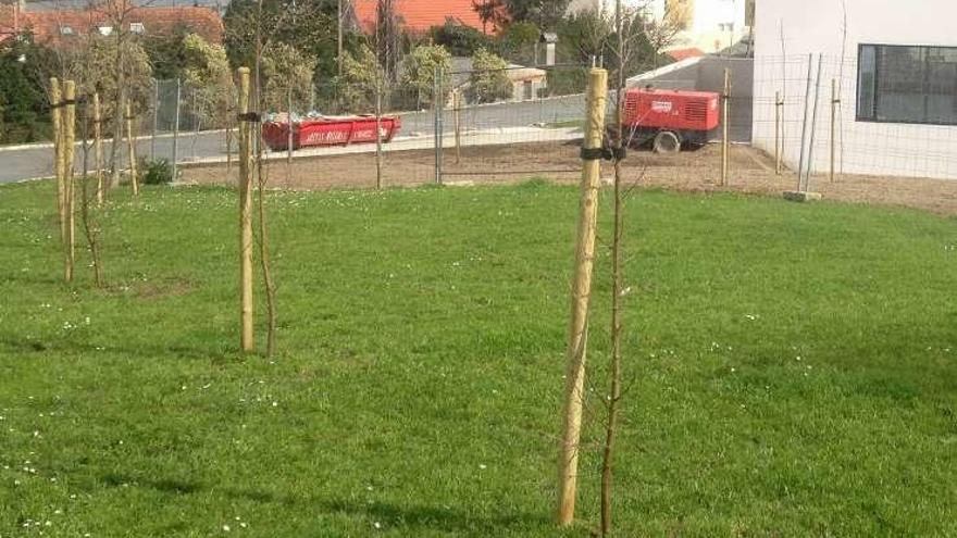 Árboles recién plantados junto al centro cívico de Fonteculler.