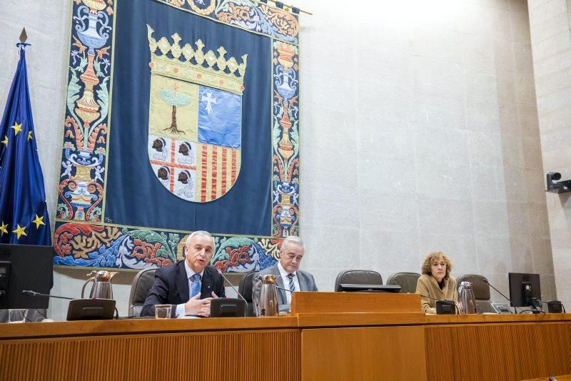 Pleno infantil en las Cortes