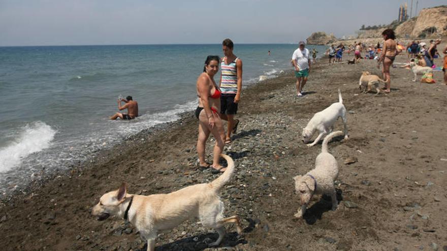 Playa de perros entre Málaga y Rincón.