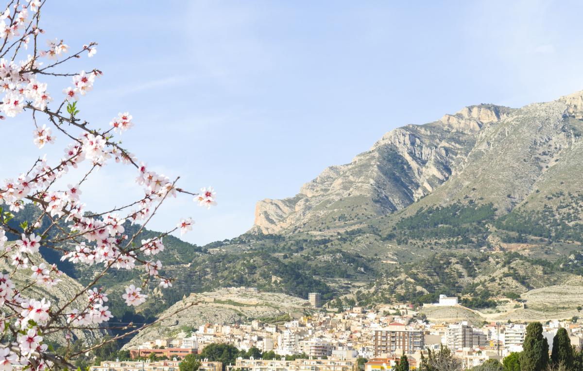 La ruta también contempla un trayecto a pie por la sierra de La Carrasqueta, para contemplar los almendros en flor entre enero y febrero.