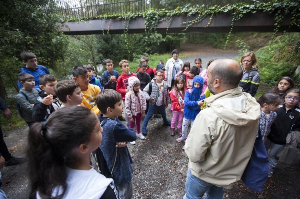 Arranca en Ximonde el proyecto de concienciación ambiental "Os ríos da Estrada"