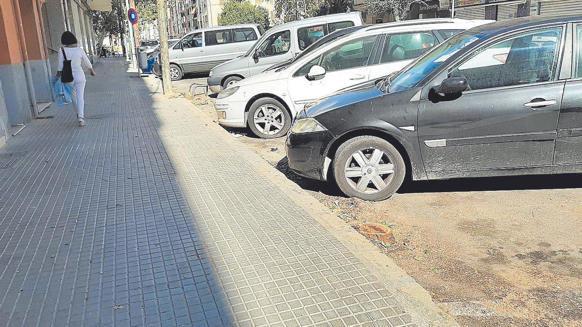 Hace dos semanas se procedió a la tala de los olmos existentes en Pi i Margall.