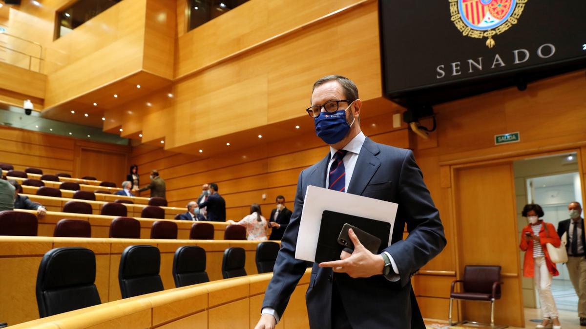 Javier Maroto, en el Senado.