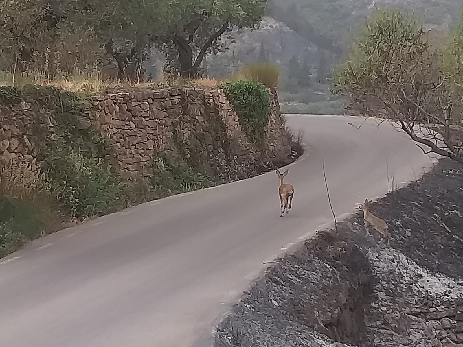 Así se encuentran las calles de Bejís tras ser evacuado por el incendio