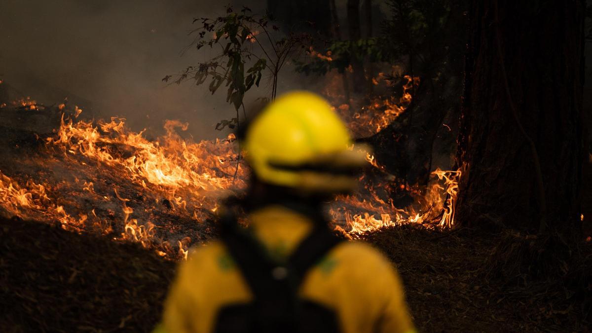 Un bombero observa un foco del último incendio de Tenerife, que afectó a un perímetro de 90 kilómetros.