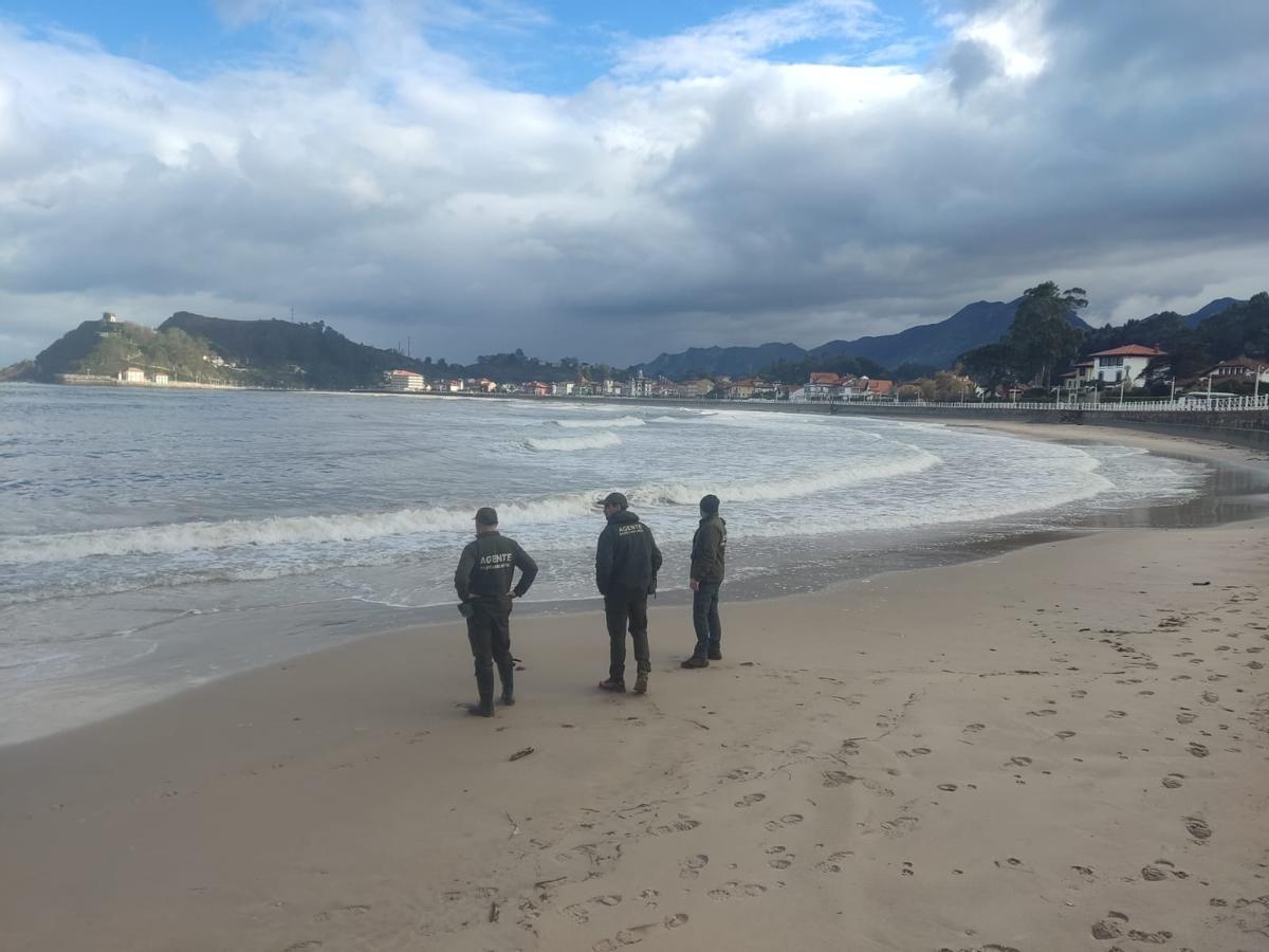 Operarios de Medio Ambiente del Principado de Asturias vigilando la posible llegada de microplásticos a una playa