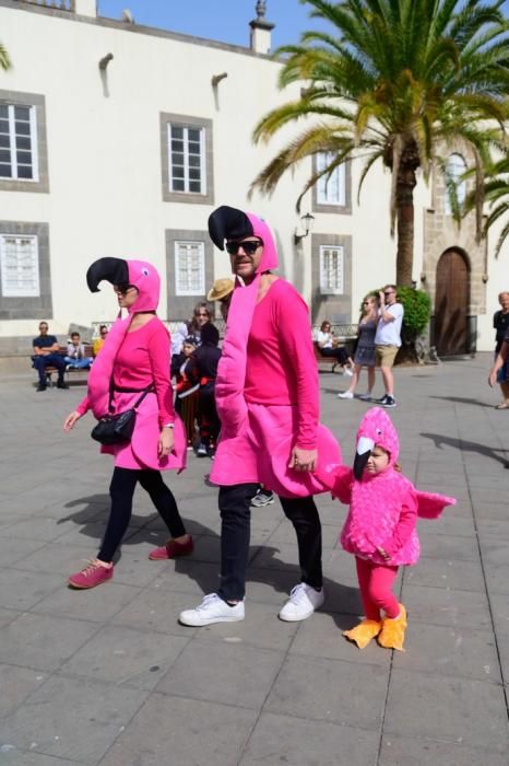 Carnaval de Día de Vegueta  | 15/02/2020 | Fotógrafo: Tony Hernández