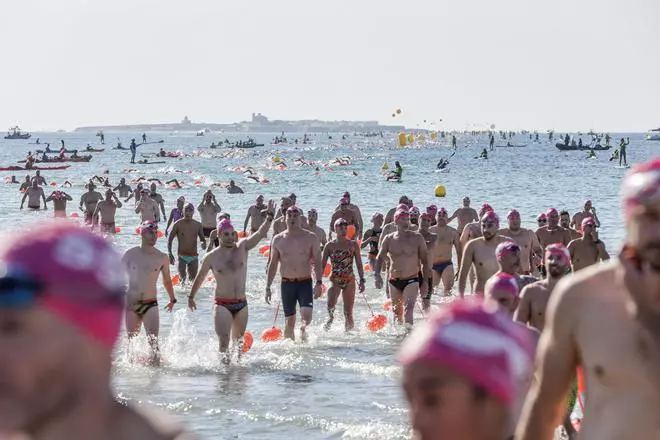 Las imágenes de La Travesía a nado Tabarca - Santa Pola