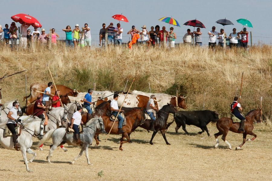 Fiestas en Zamora: Espantes en Fuentelapeña