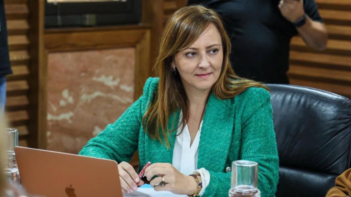 Nieves Lady Barreto, consejera de Presidencia, Justicia y Seguridad del Gobierno de Canarias. | | E.D.