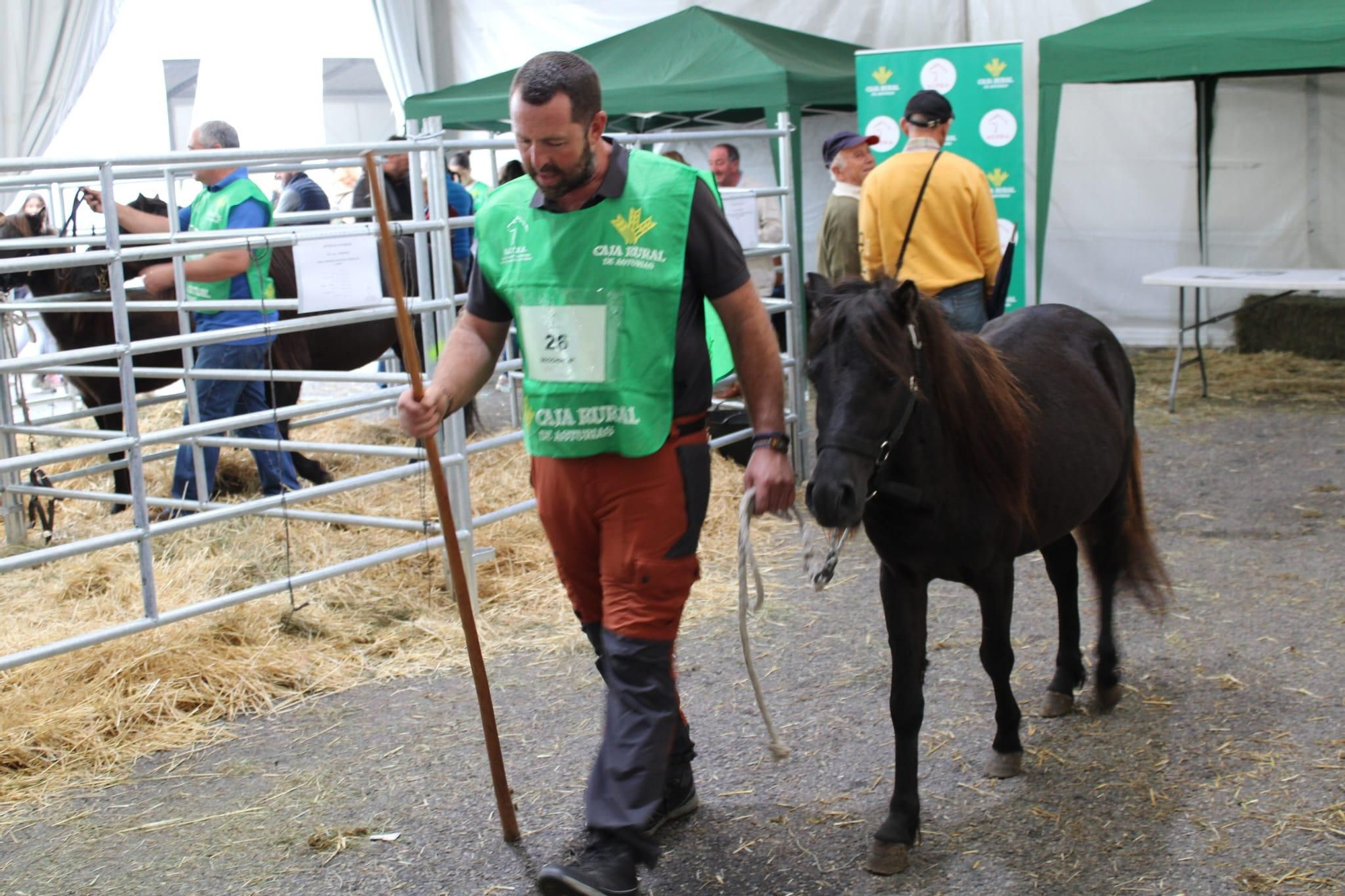 Así es Llangréu Nautral, la feria de las razas autóctonas asturianas que se celebra en pleno centro de Langreo