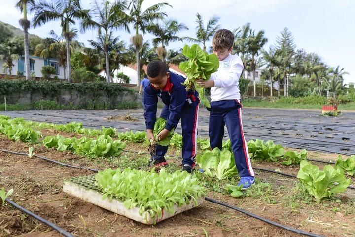 Visita escolar a la Granja Agricola del Cabildo