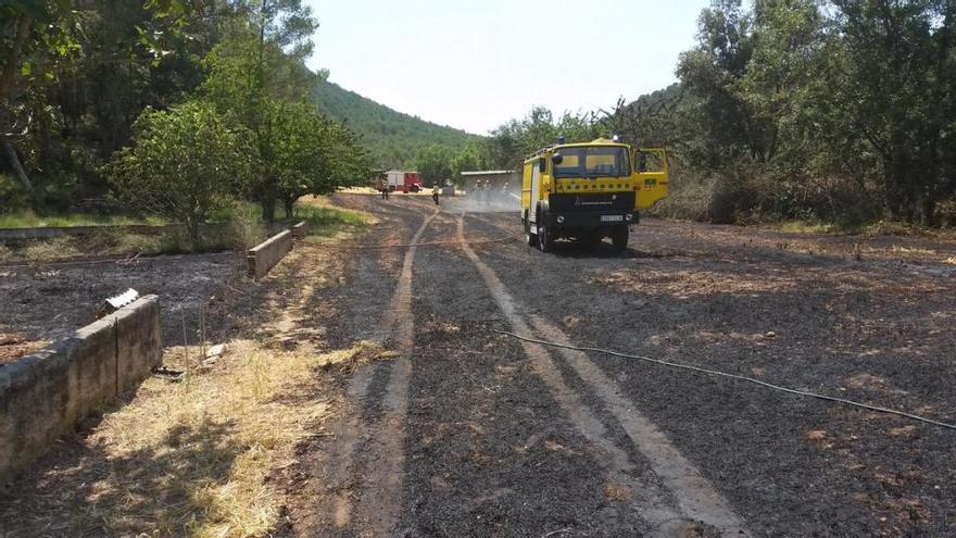 Un camp de rostolls afectat pel foc, aquest dimecres al migdia