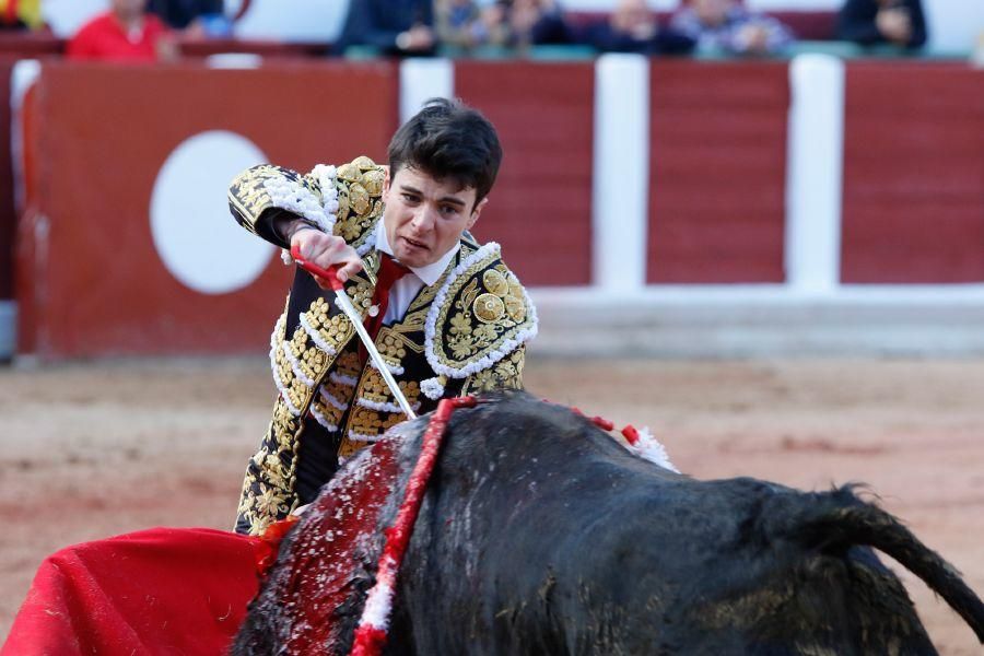 Tarde de toros en Zamora