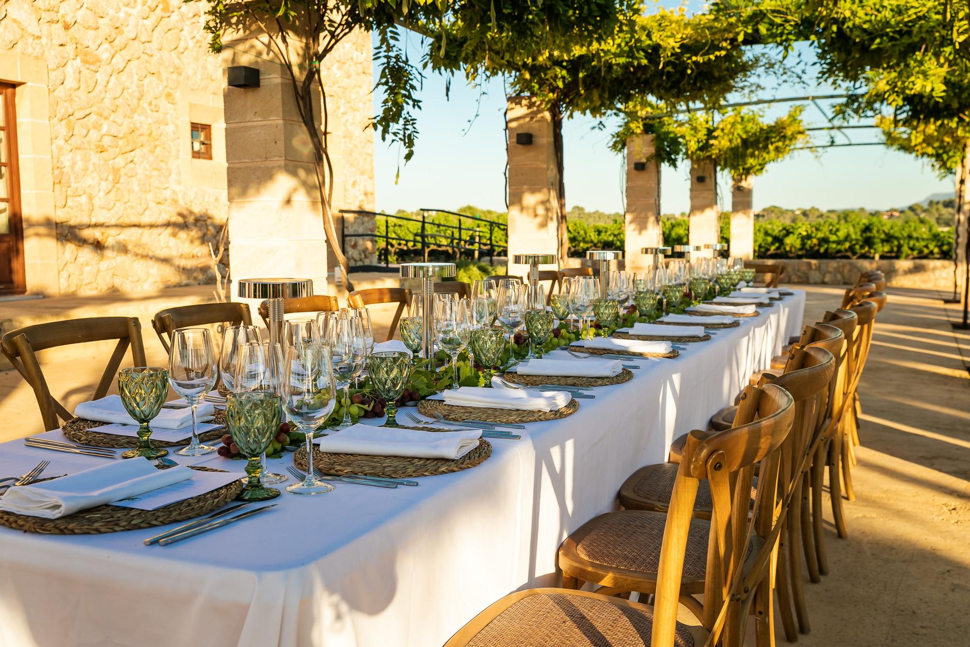 Celebra tu evento en Mallorca entre viñedos y vistas a la Serra de Tramuntana