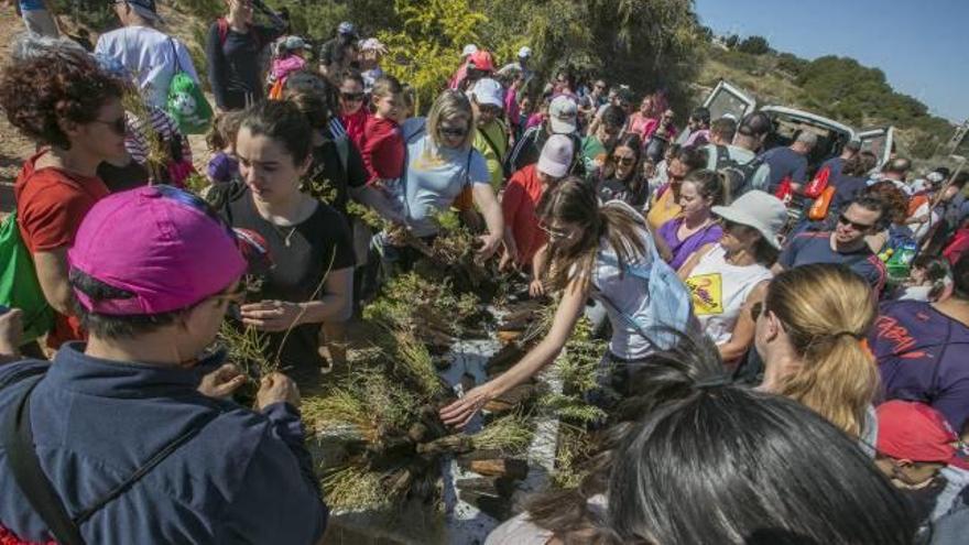 Los voluntarios recogen las especies autóctonas.