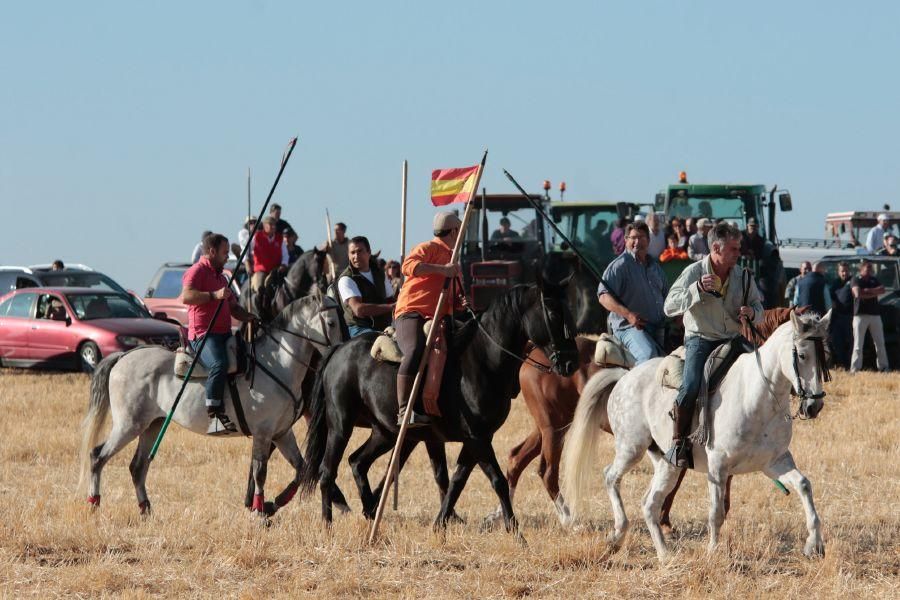 Fuentespreadas despide la temporada de encierros