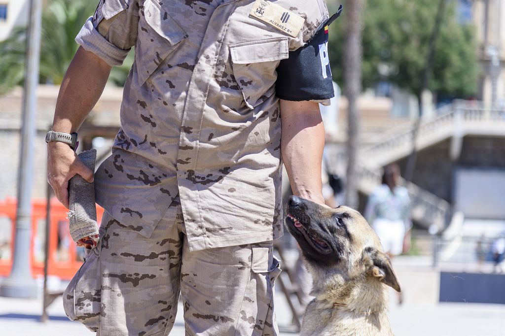 Día de las Fuerzas Armadas 2022 en Cartagena