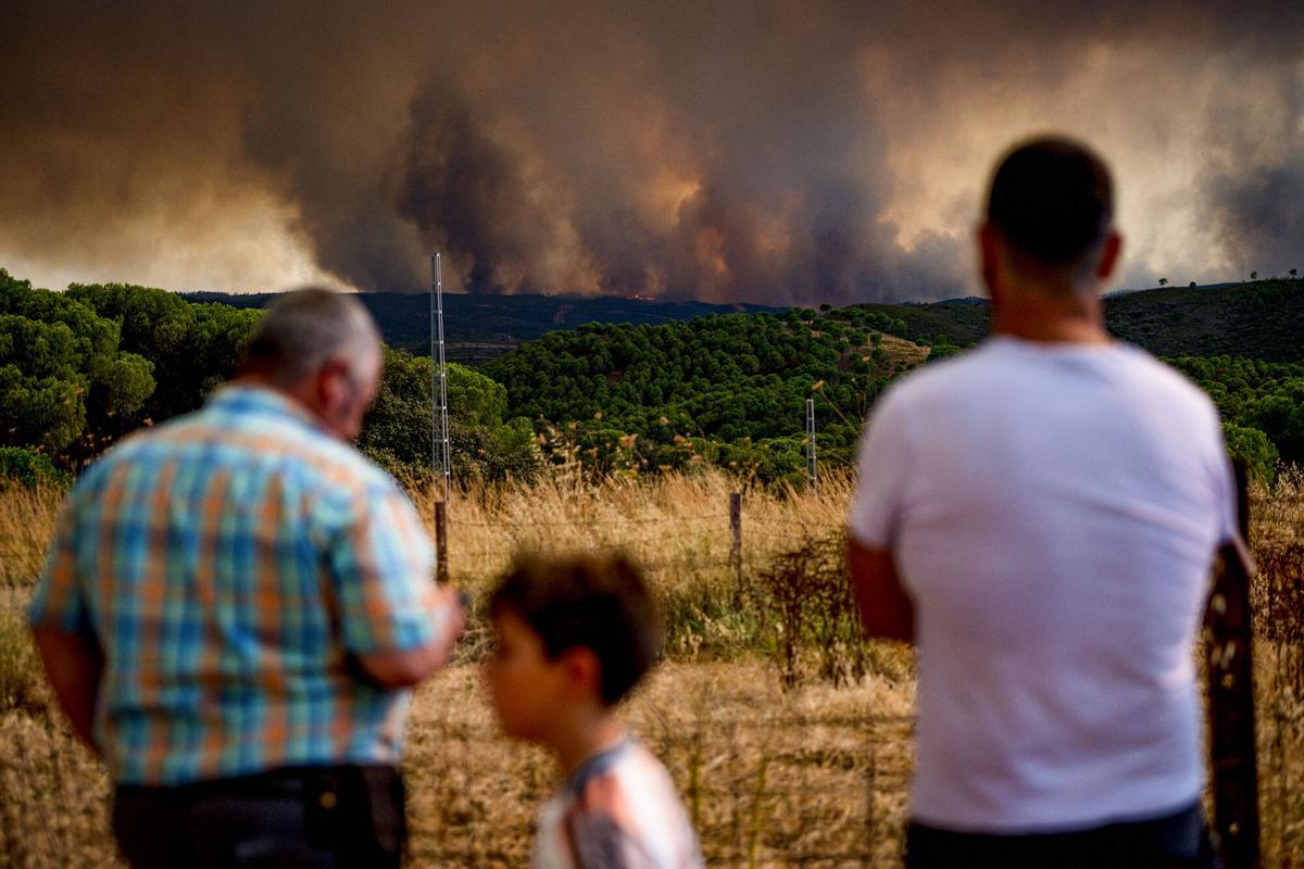 EL MADROÑO (SEVILLA), 09/08/2026.- Vecinos de El Madroño, en Sevilla, observan este domingoo el fuego del incendio de Niebla (Huelva), que ha recorrido un perímetro de 44 kilómetros con unas 8.000 hectáreas, presenta dos frentes activos y mantiene desalojadas a un total de 467 personas. EFE/Mauri Buhigas EL MADROÑO (SEVILLA), 09/08/2026.- Vecinos de El Madroño, en Sevilla, observan este domingoo el fuego del incendio de Niebla (Huelva), que ha recorrido un perímetro de 44 kilómetros con unas 8.000 hectáreas, presenta dos frentes activos y mantiene desalojadas a un total de 467 personas. EFE/Mauri Buhigas