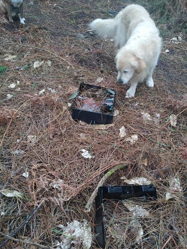 Basura en los montes de O Grove.