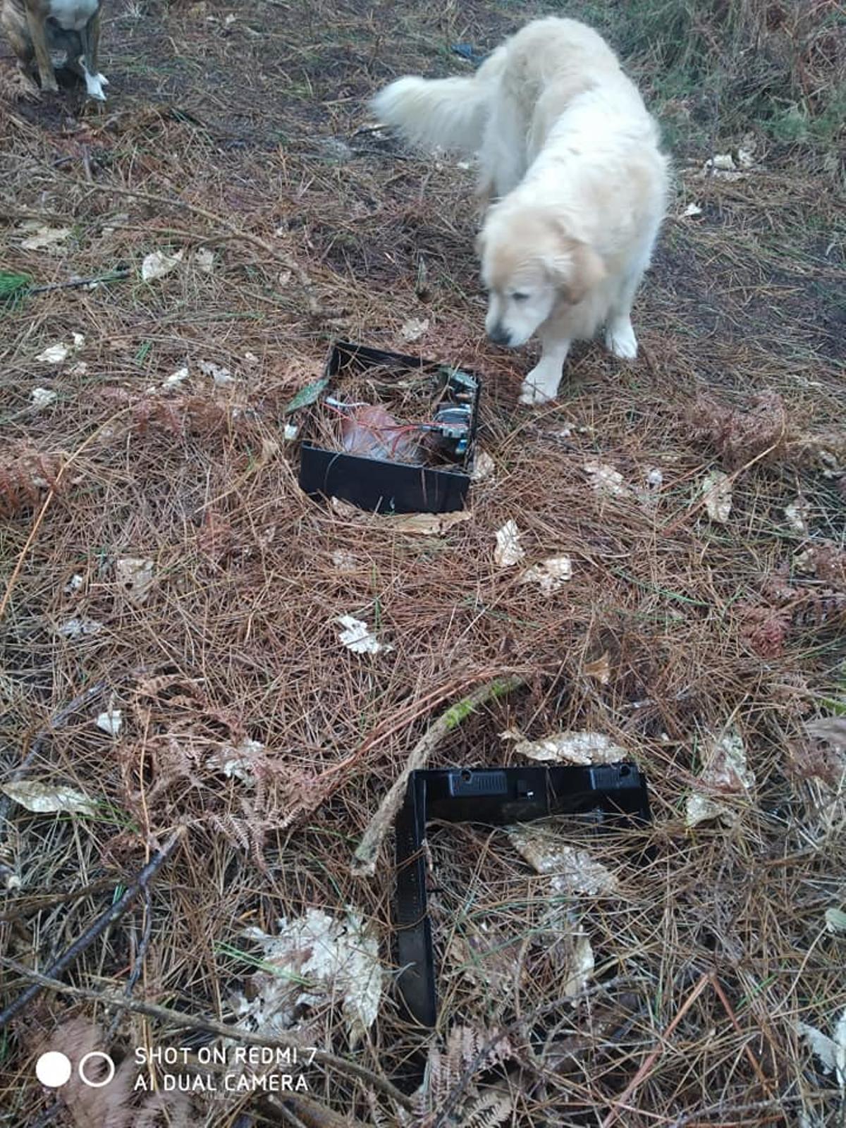 Basura en los montes de O Grove.