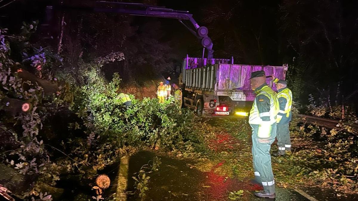 La caída de un árbol en una carretera de Toén, este sábado.