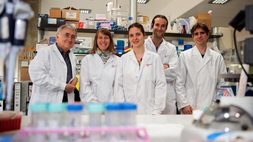 Un estudio con descifra cómo funciona el genoma de la leucemia