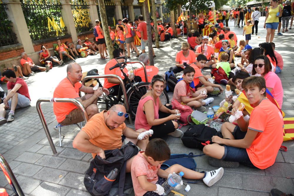 La Diada 2018, en imatges