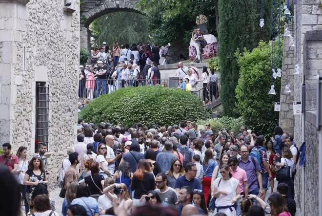 Primer diumenge de Temps de Flors