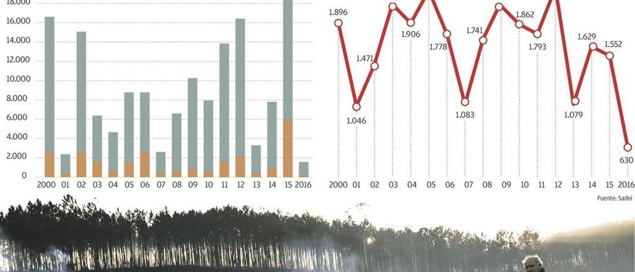Asturias pasa del año récord en incendios forestales al de menos fuego desde 1990