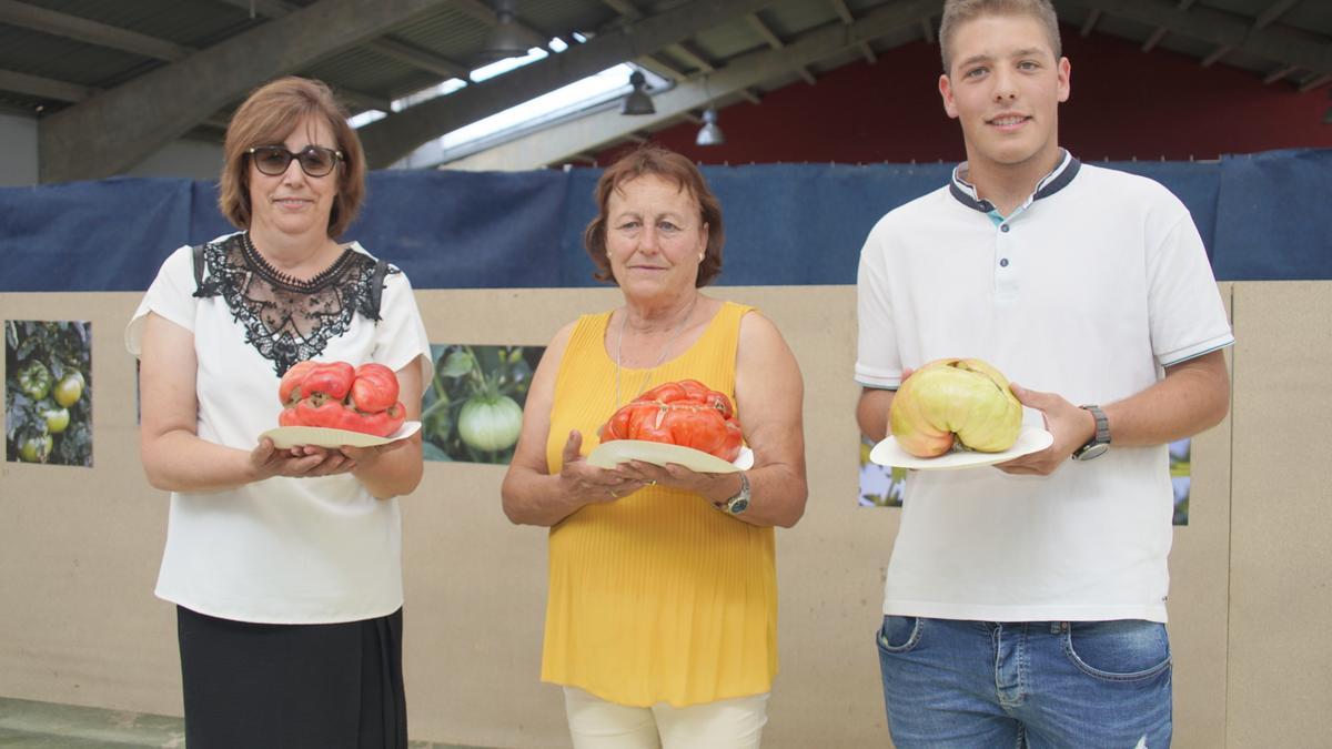 Los tomates de Aliste se ganan un lugar de honor en la agroalimentación de "La Raya"