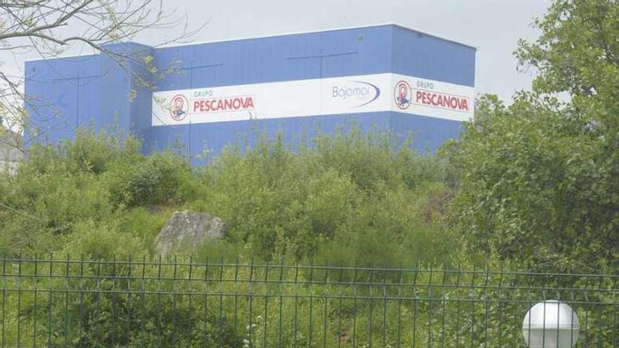 Vista del paseo fluvial del río Bolaños y de la fábrica de Pescanova.