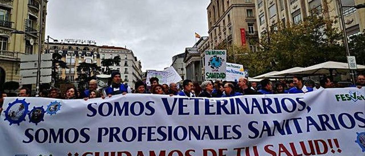 Imagen de la cabecera de la manifestación de veterinarios españoles celebrada en 2019 en Madrid