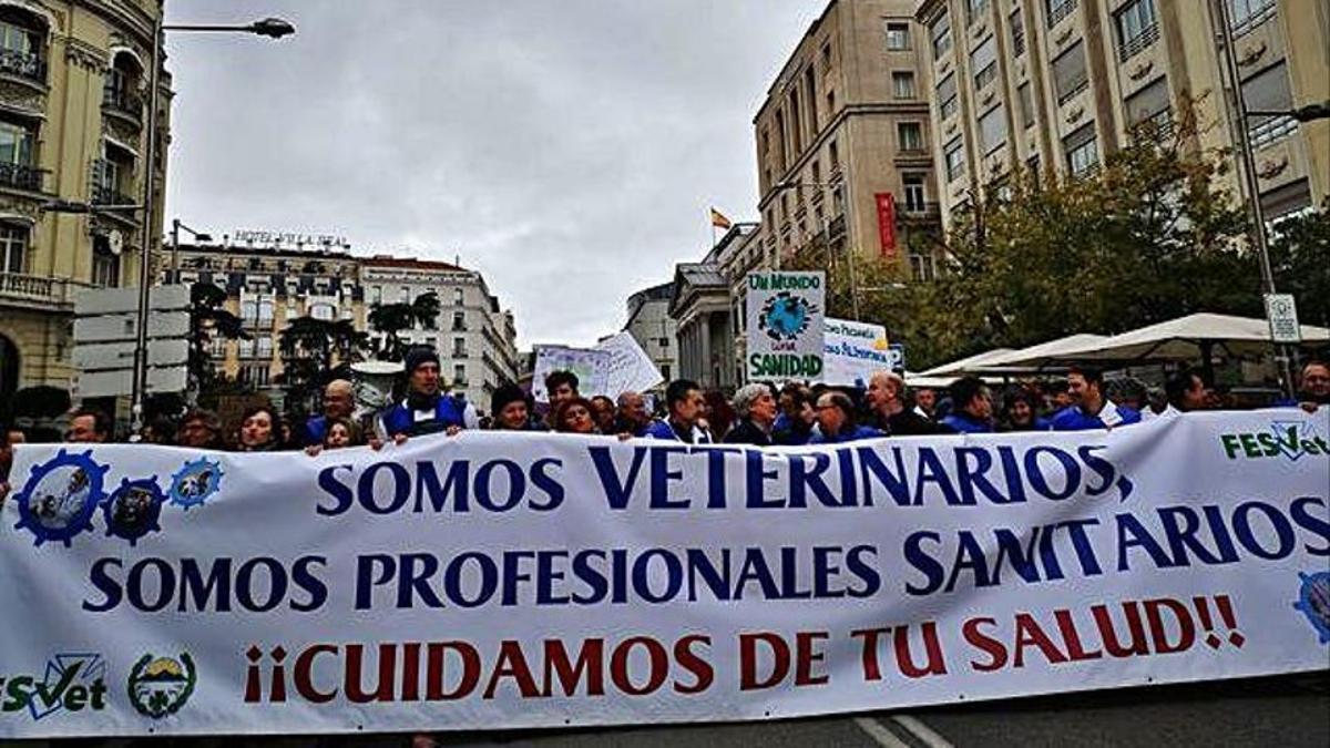 Imagen de la cabecera de la manifestación de veterinarios españoles celebrada en 2019 en Madrid