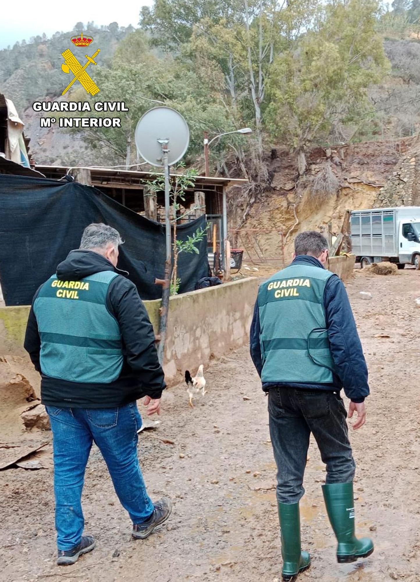 Operación de la Guardia Civil contra el robo de ganado ovino en el Campo de Cartagena