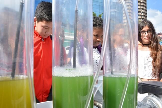 MINIFERIA SEMANA DE LA CIENCIA