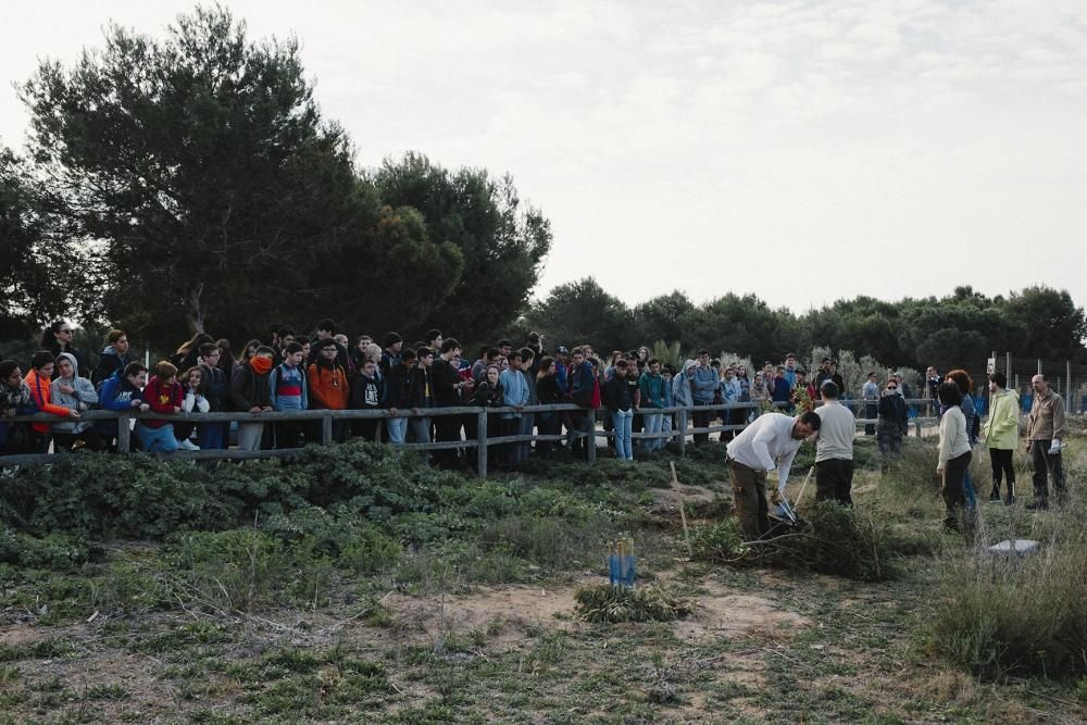 Plantación de especies autóctonas de alumnos del IES Mare Nostrum el día del arbol en el parque natural de las lagunas