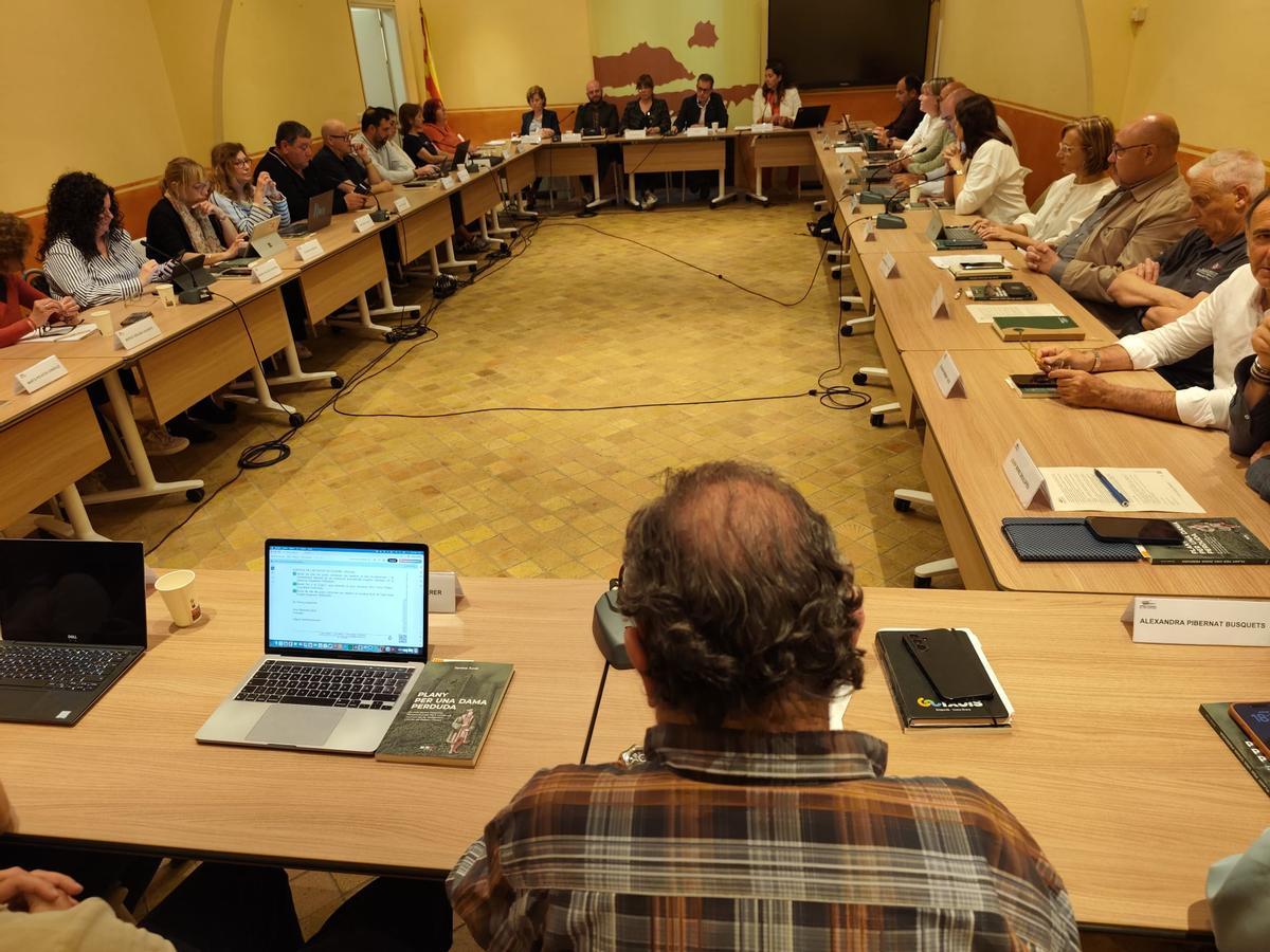 El ple del Consell comarcal del Baix Empordà durant l'aprovació de la moció de Valentes i Acompanyades sobre els matrimonis forçats.