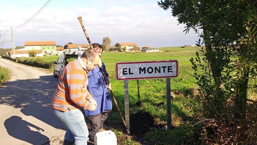 Los vecinos de San Martín del Mar, en Villaviciosa, dan ejemplo: sextaferias para instalar señales y limpiar los caminos afectados por el temporal