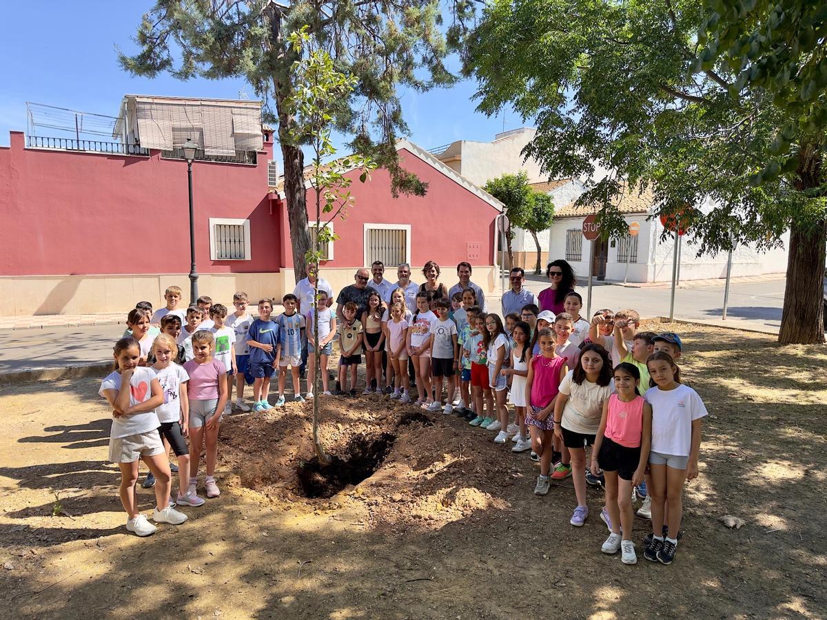 Plantación de árboles en Cabra.