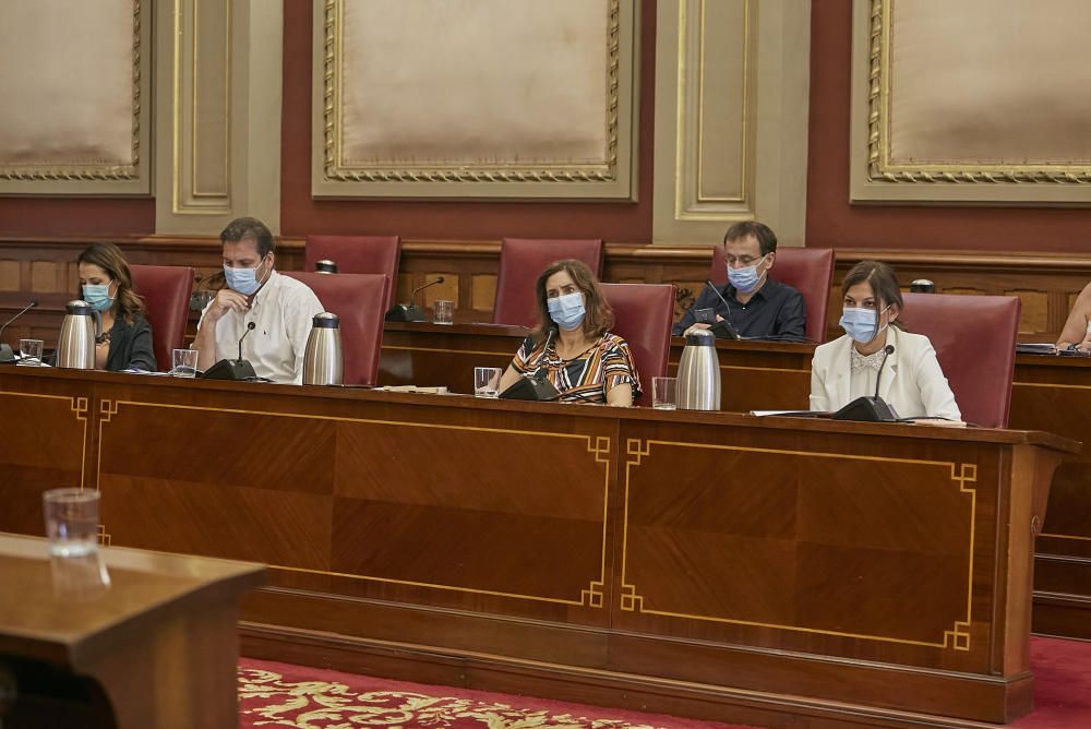 Comisión de Control del Ayuntamiento de Santa Cruz