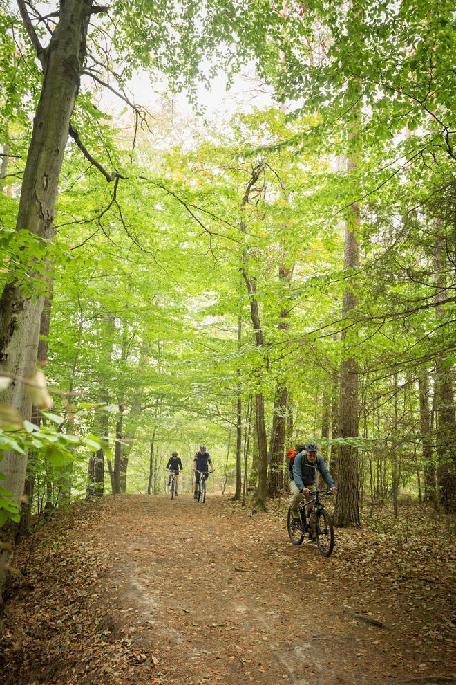 Republica Checa, Bosques Bohemia