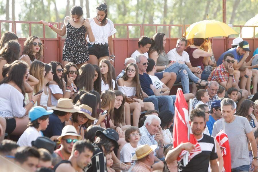 Fiestas en Zamora: Recortes en Villalpando