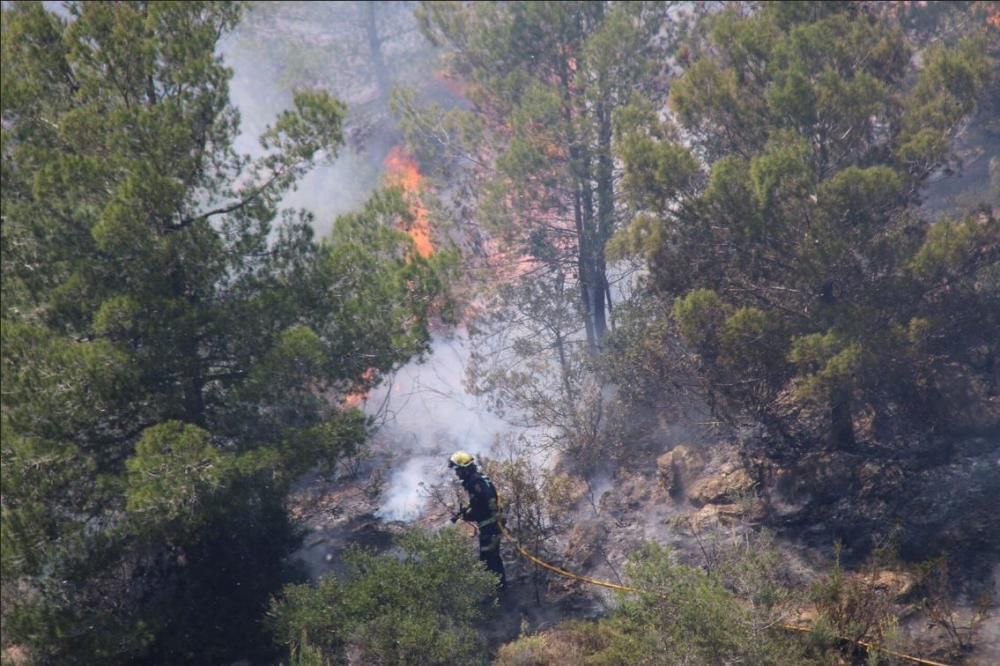 Waldbrand bei Andratx