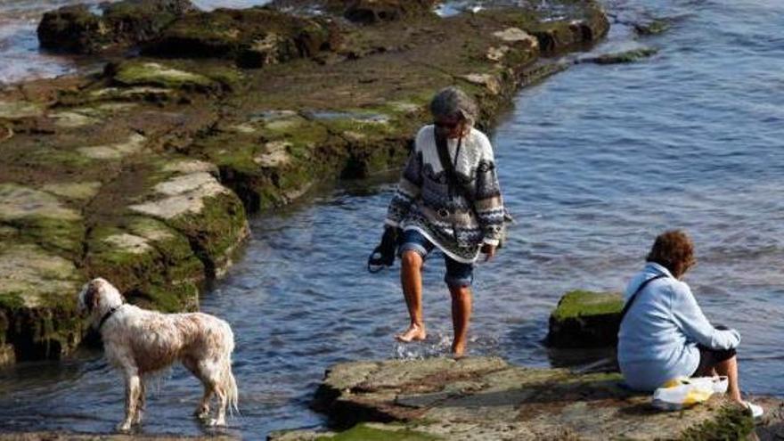 Asturias supera los 20 grados en pleno diciembre