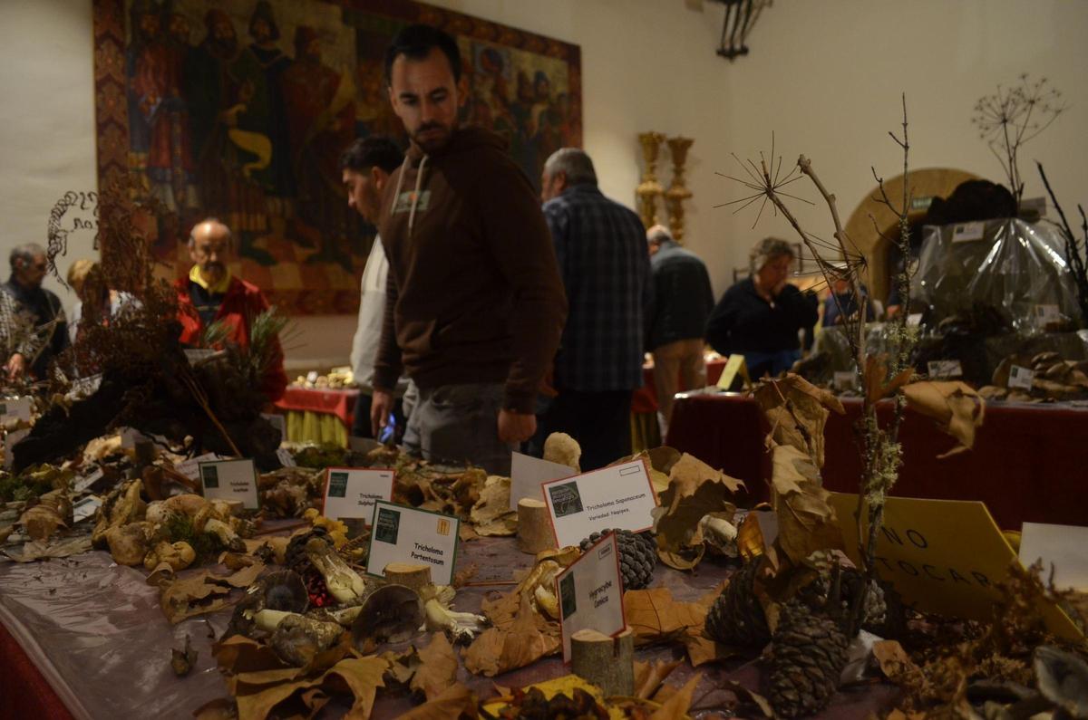 La Exposición Micológica de Benavente, en imágenes