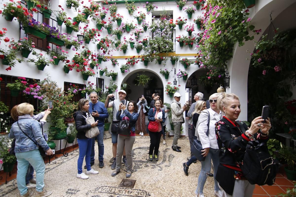 Paseando por el Alcázar Viejo