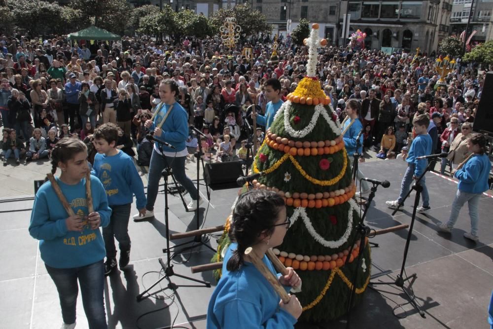 Cantos, humor y flores en los "maios" de Pontevedra